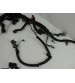 Chicote Motor Gm Captiva Sport 3.6 V6 Gasolina Aut. 2010