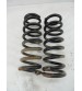 Par Molas Traseiras Mitsubishi Outlander 3.0 4x4 2008 Usado