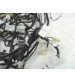Chicote Fundo Assoalho Toyota Prius Hybrid 1.8 2017