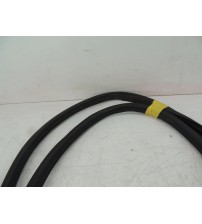 Borracha Porta Dianteira Direita Gwm Ora 03 Gt 2026