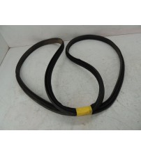 Borracha Porta Traseira Direita Gwm Ora 03 Gt 2026