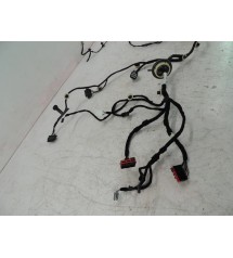 Chicote Porta Traseira Esquerda Jaguar F-pace R-sport 2020