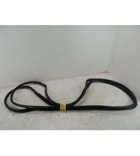 Par Borracha Porta Traseira Toyota Hilux 2024