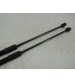 Par Amortecedor Capo Chery Tiggo 7 Sport 2026